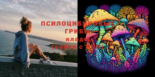 марки nbome Горняк