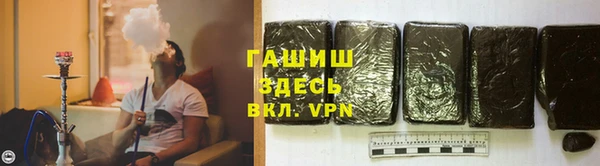 PSILOCYBIN Горно-Алтайск