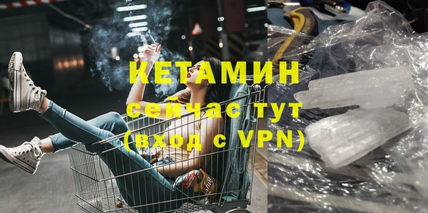 PSILOCYBIN Горно-Алтайск