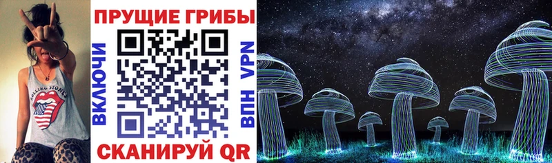 купить наркотик  Духовщина  Галлюциногенные грибы Magic Shrooms 