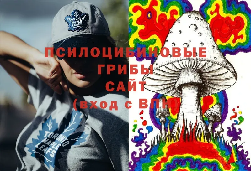 Галлюциногенные грибы Cubensis  Духовщина 